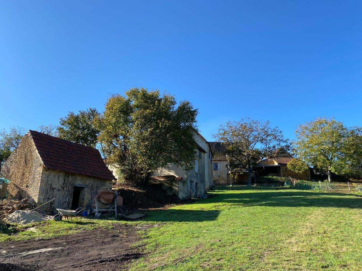 Le Gite De La Villenie - En Pleine Nature - 5 Min Centre Ville De Sarlat 外观 照片